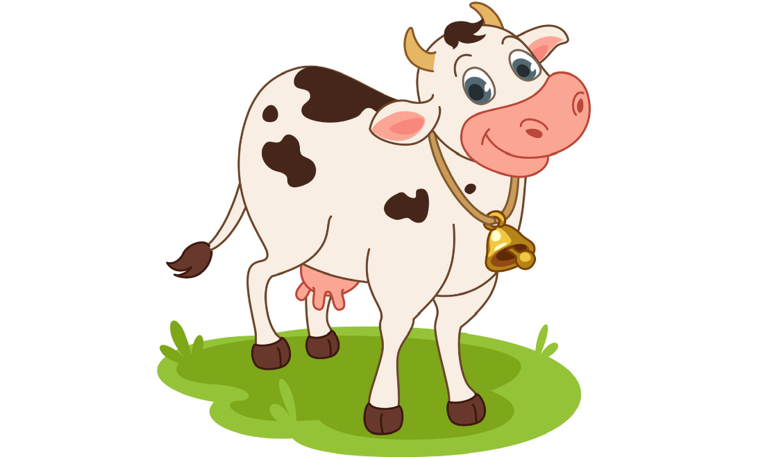 Tips Memilih Sapi Qurban yang Sehat dan Berkualitas